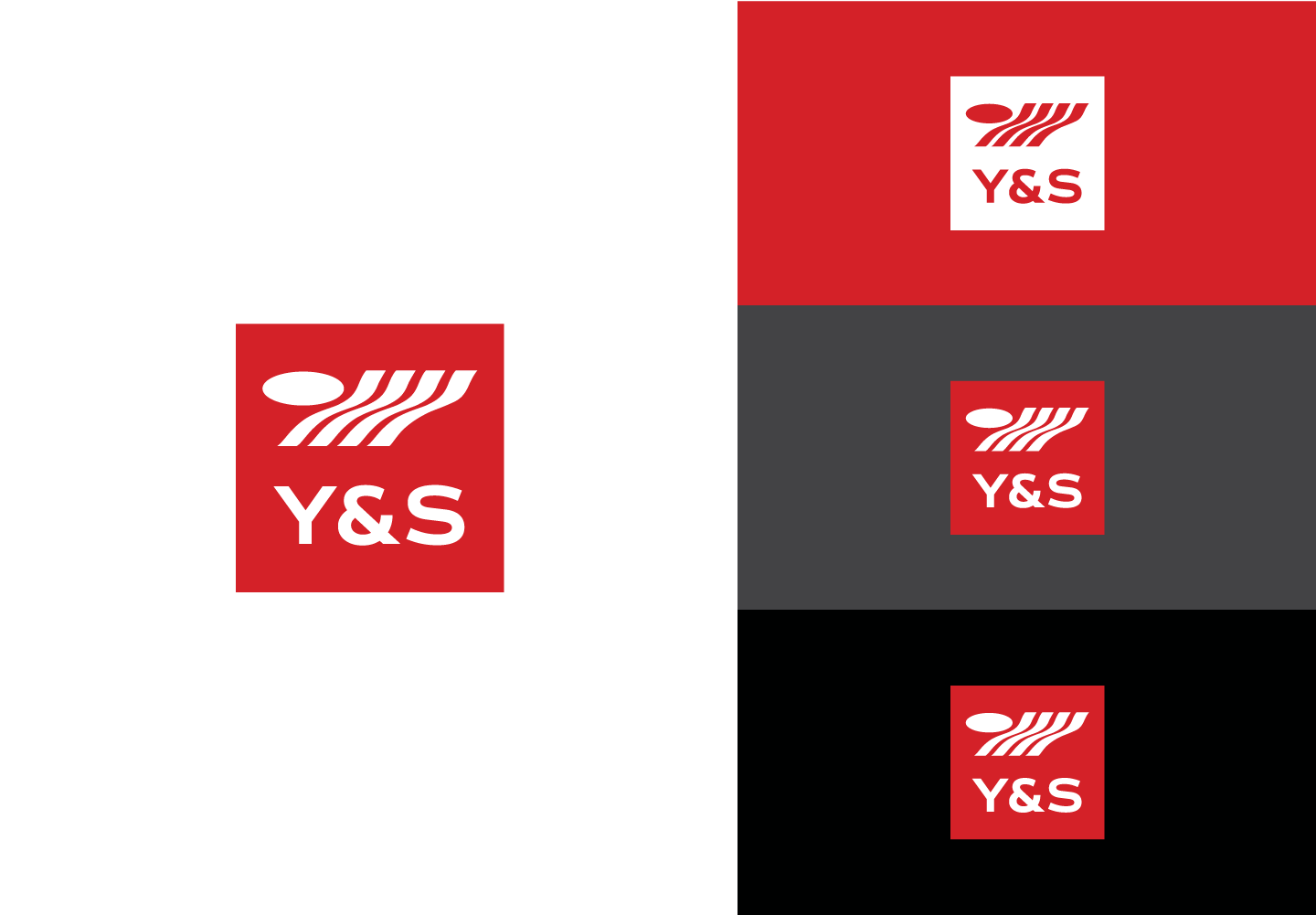 Y&S Business Consulting Branding