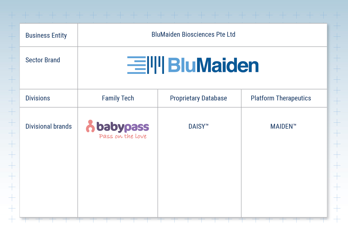 Biotech Branding: Blumaiden Brand Architecture